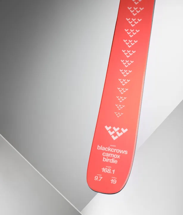 Snow Skis CAMOX BIRDIE 97mm Black Crows, Womens 2025