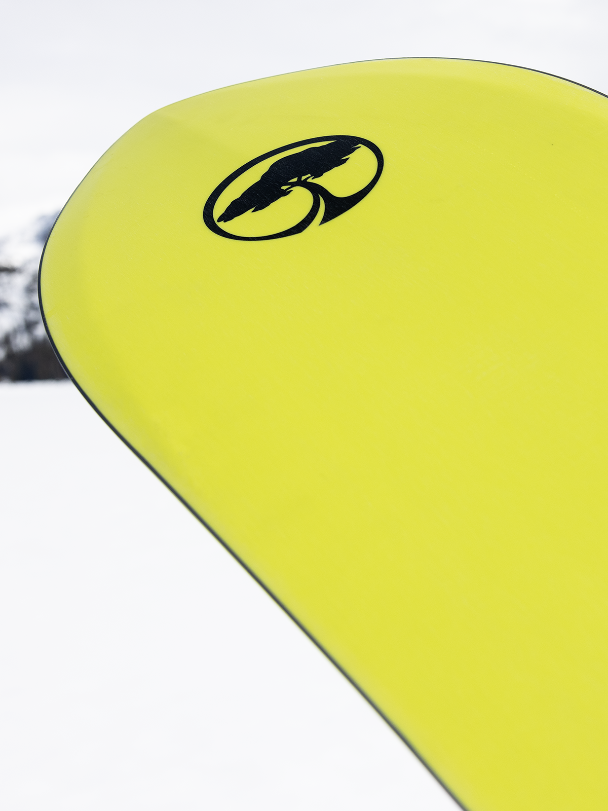 Snowboard 2026 Arbor Terrapin PFD Snowboard New