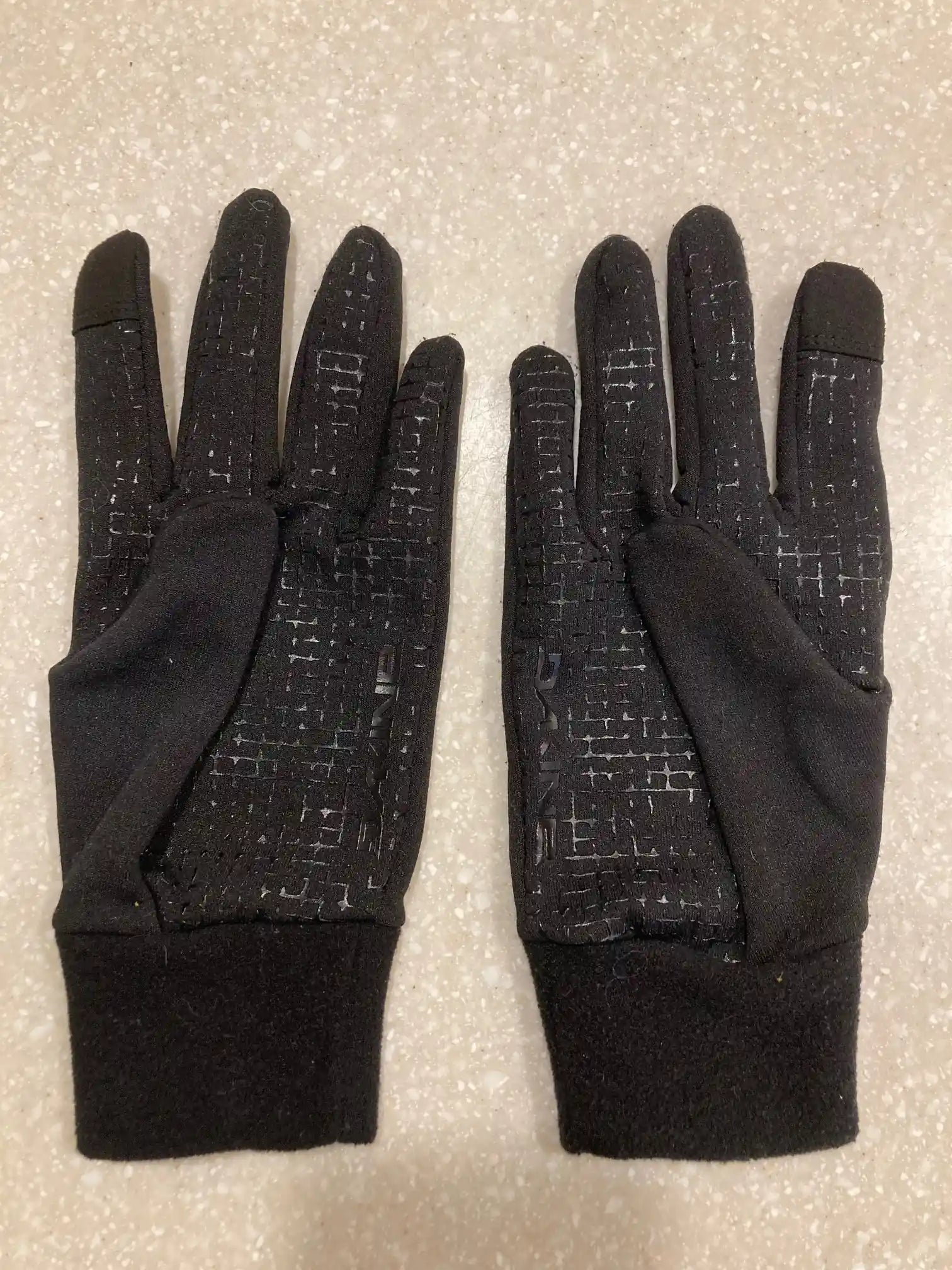 Snow Glove DAKINE Titan GORE-TEX Glove & Liner