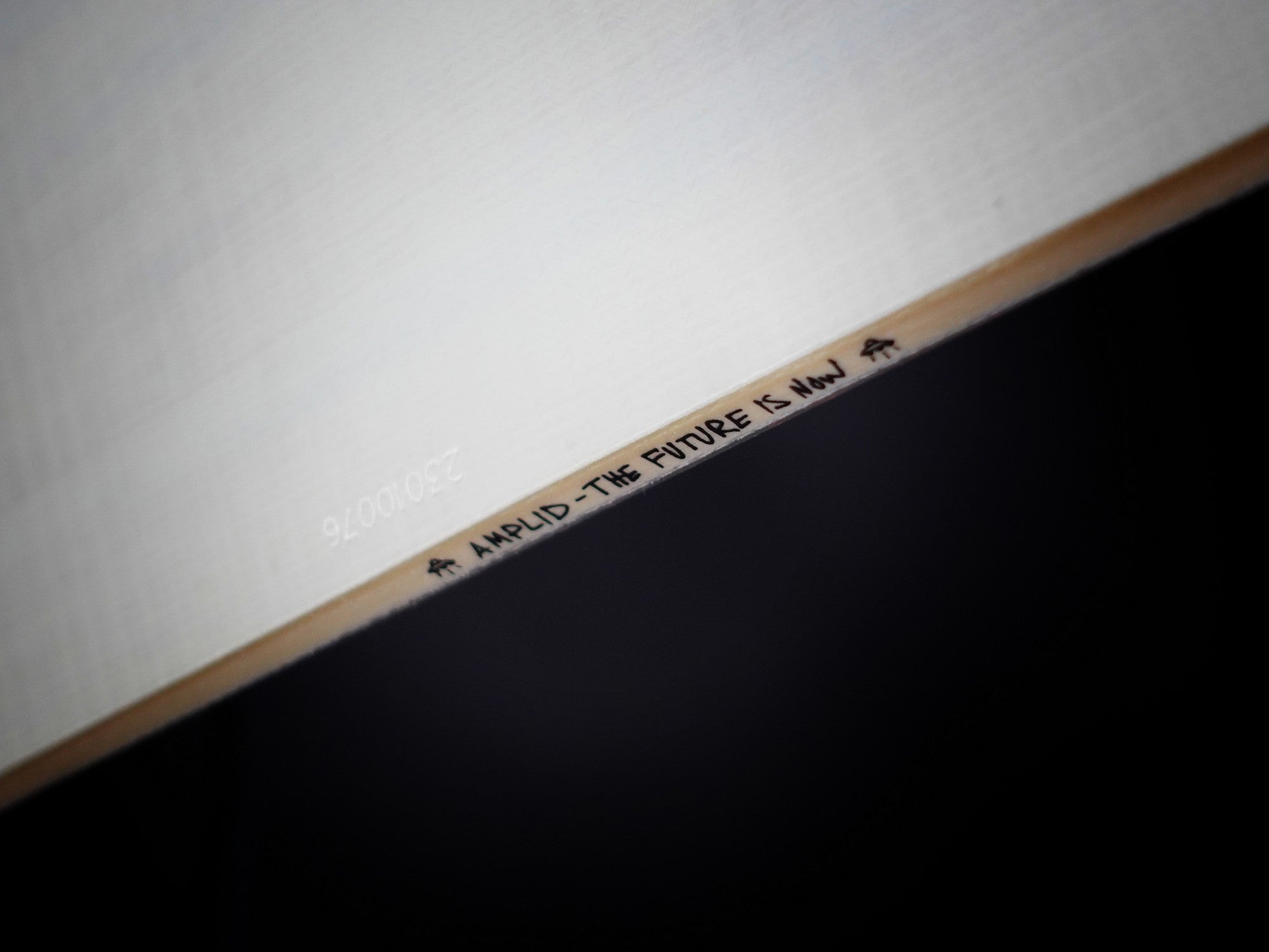 Snowboard AMPLID Dada 154cm 2025