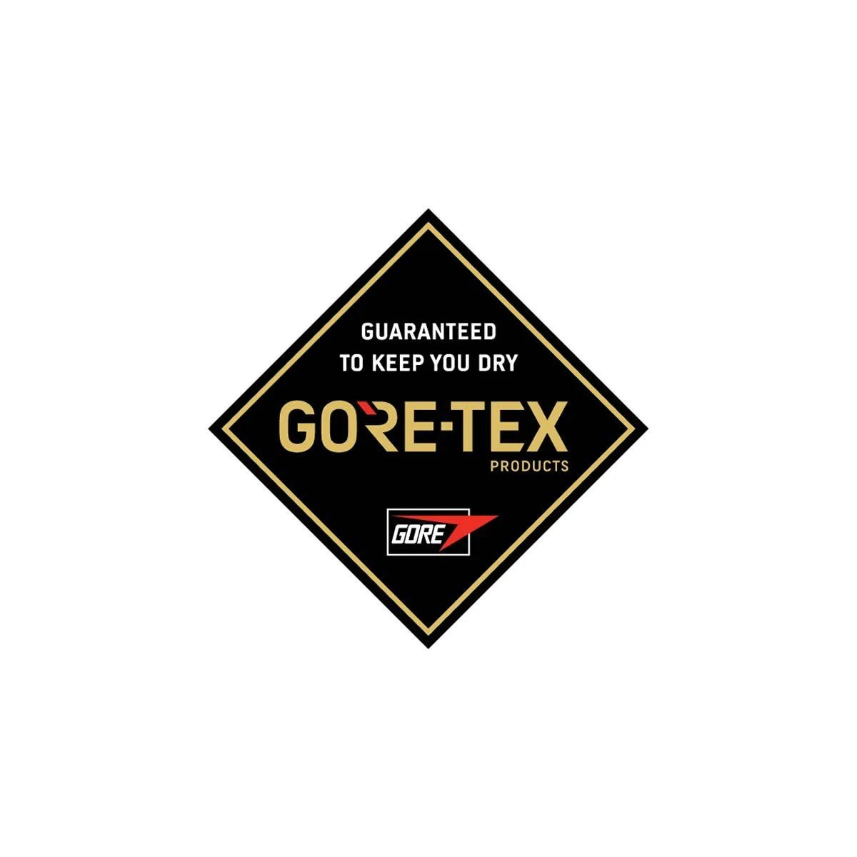 Snow Glove DAKINE Excursion Gore-Tex Mitt