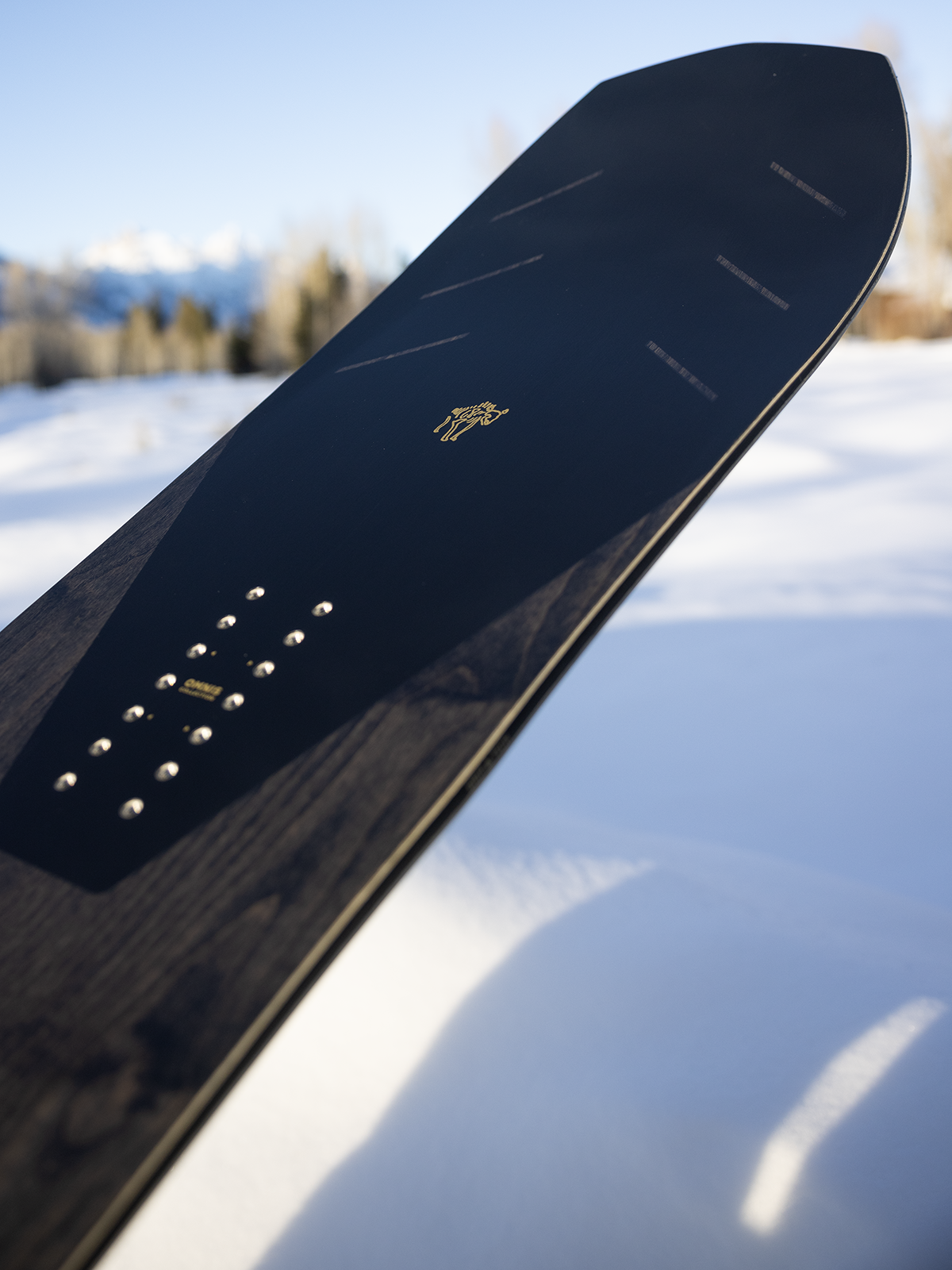 Snowboard 2026 Arbor Bryan Iguchi Pro 158cm wide Snowboard New