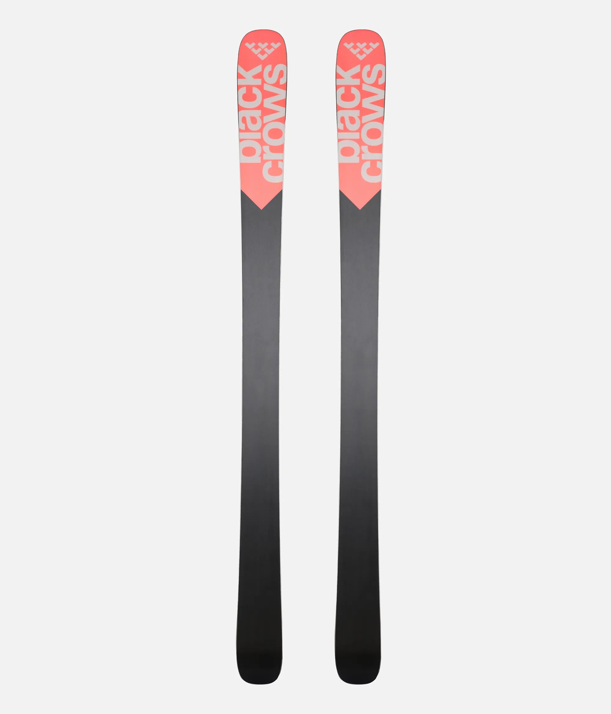 Snow Skis CAMOX BIRDIE 97mm Black Crows, Womens 2025