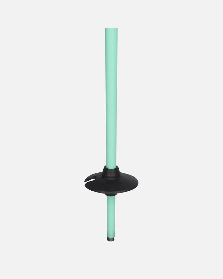 Ski Poles ROSSIGNOL Mint & Black