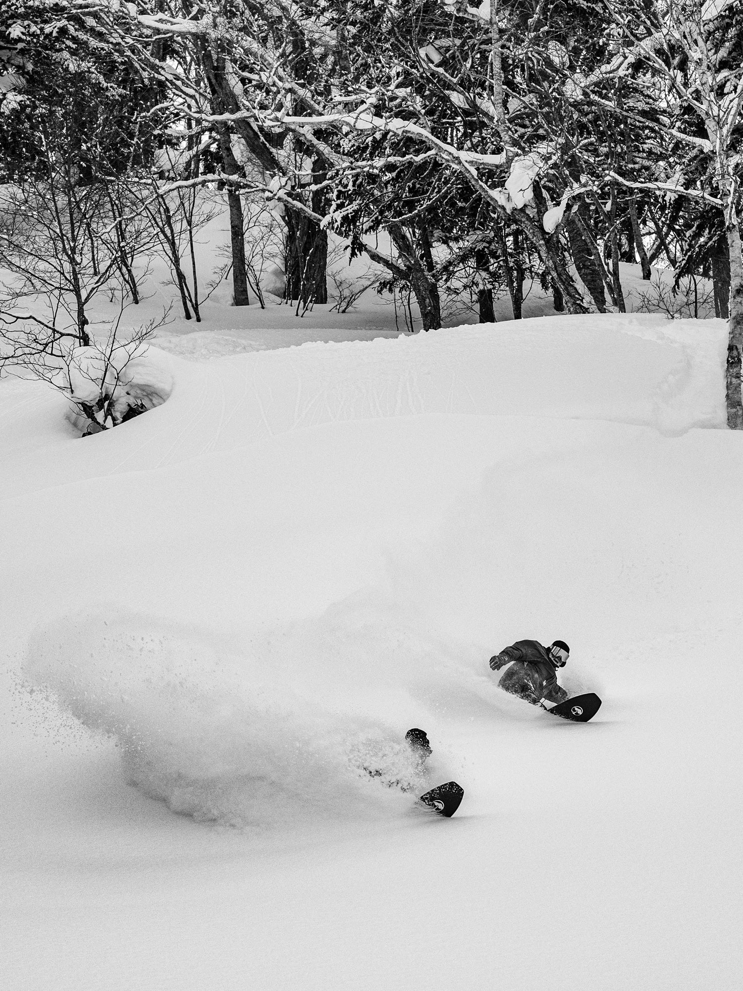 Snowboard ARBOR Padre Camber 2025