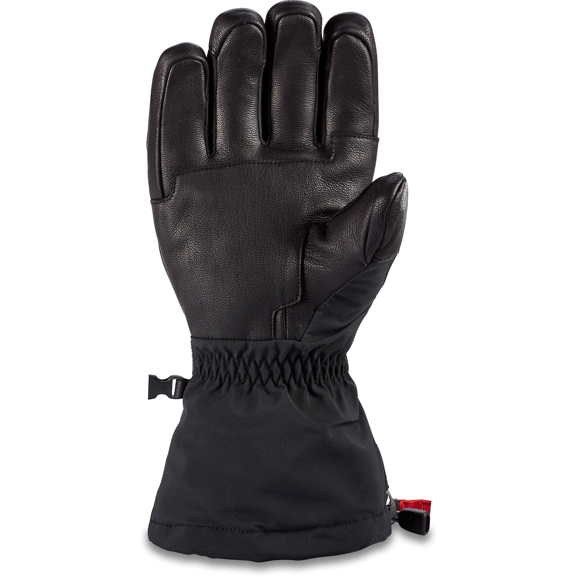 Snow Glove DAKINE Phoenix Gor-Tex Glove