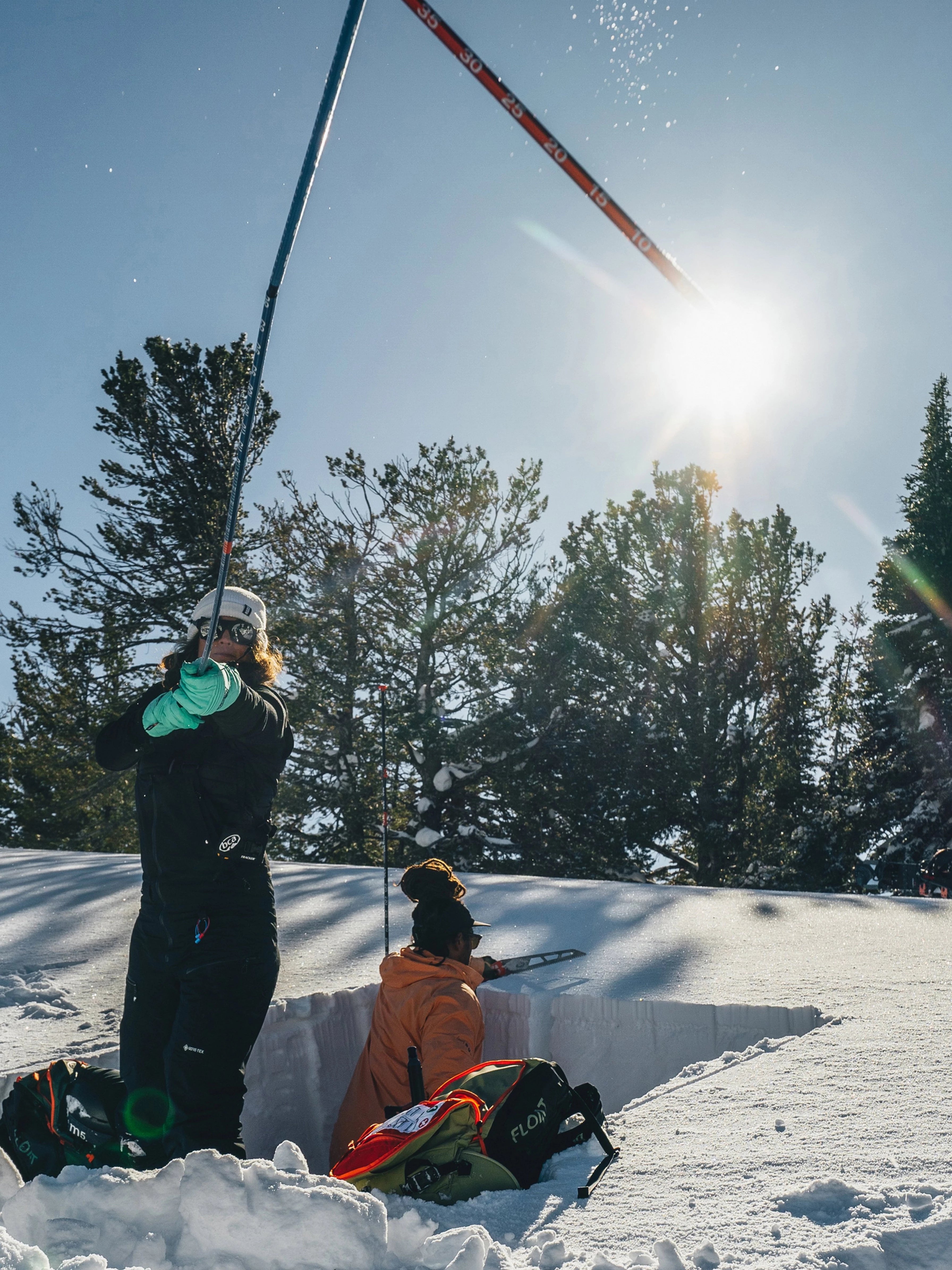 Back Country BCA Stealth™ 330 Avalanche Probe - Aluminum